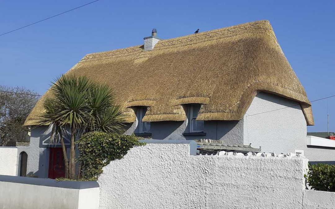 Thatched roof cottage